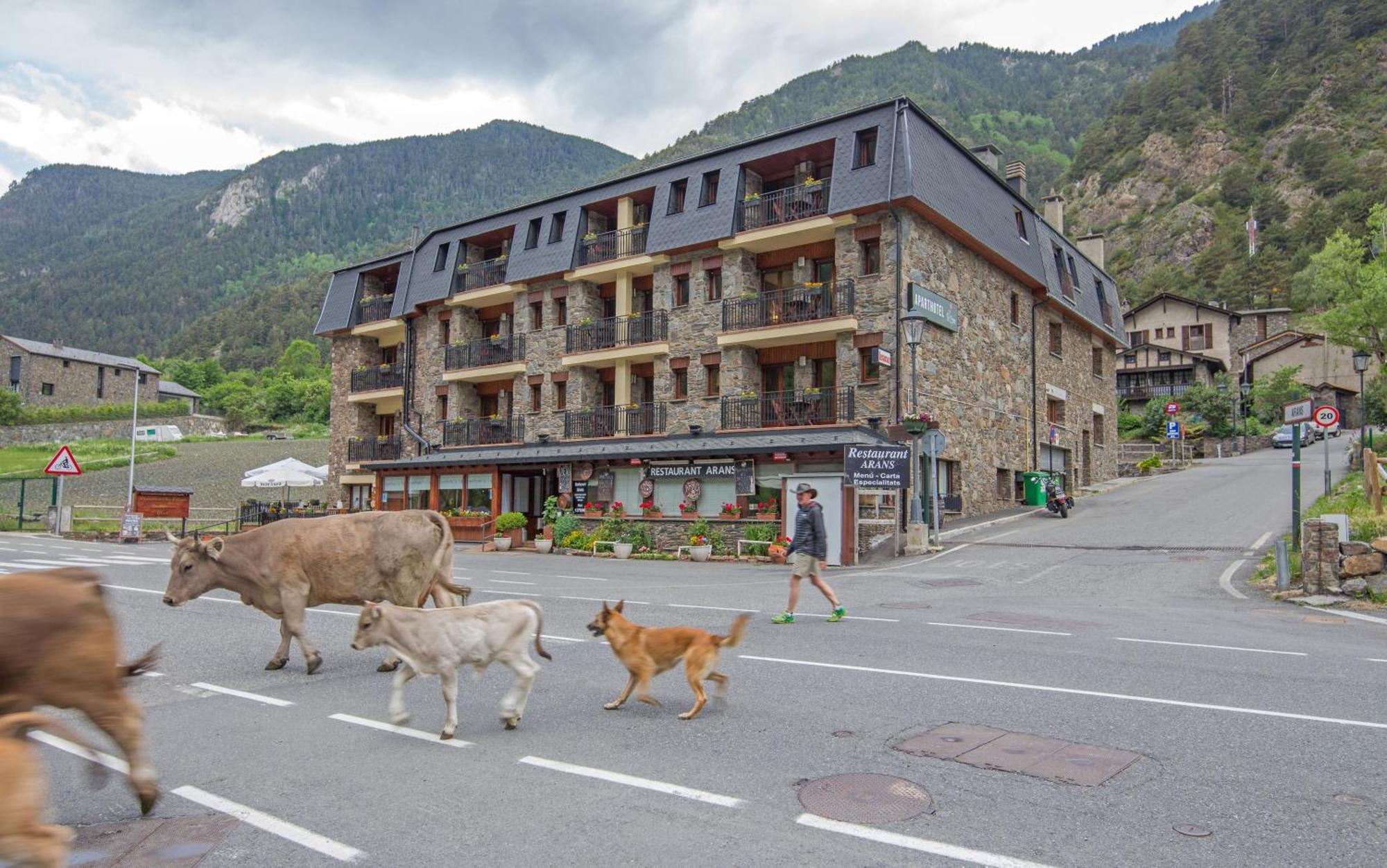 Pierre & Vacances Aparthotel La Tulipa ออร์ดิโน ภายนอก รูปภาพ